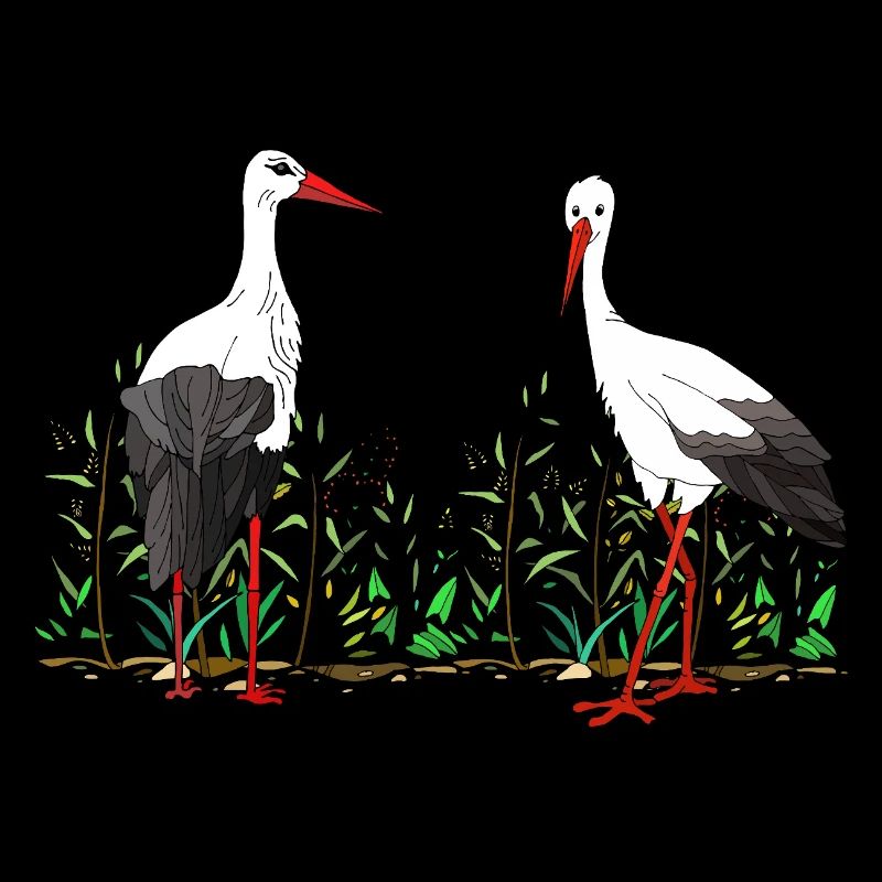 Birds
