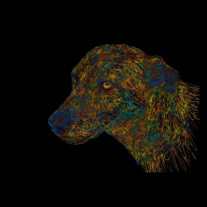 Chien abstrait