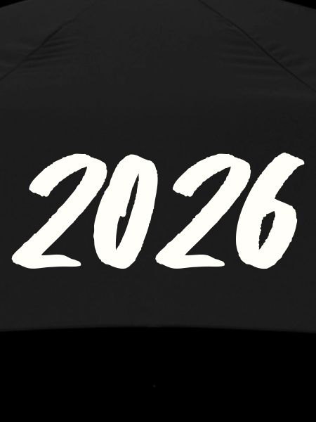Year 2026 Brushstroke