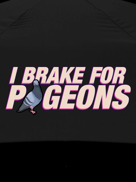 I brake for pigeons