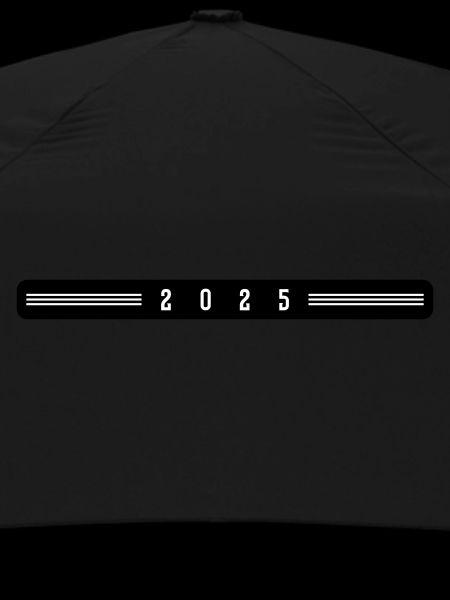 2025 year