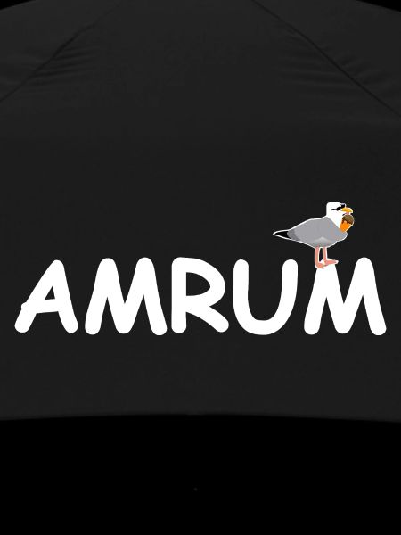 Amrum Seagull North Sea