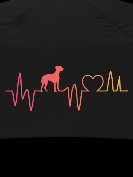 rhodesian ridgeback hund