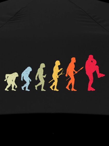 Baseball Evolution