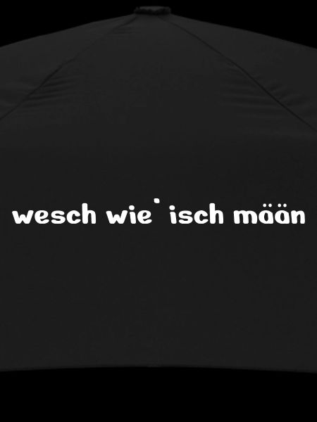 Mannheim Monnem Mannheimat