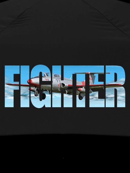 Fighter L-29 Delfin