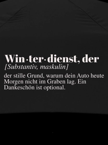 Duden Eintrag Winterdienst