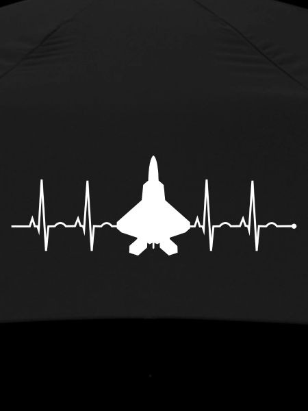 Anniversaire de l'armée de l'air