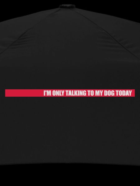 only talking to dog