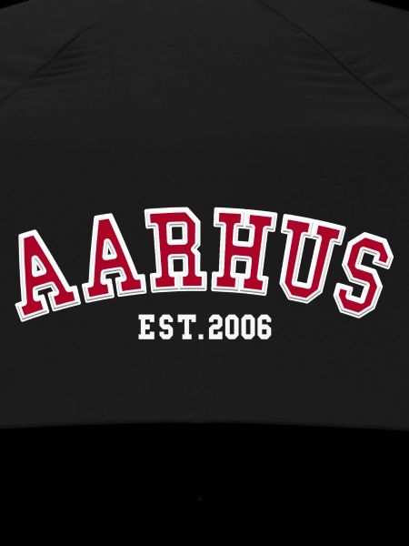 Aarhus Gründung 2006