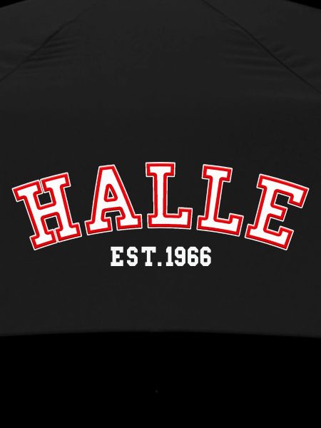 Halle gegründet 1966