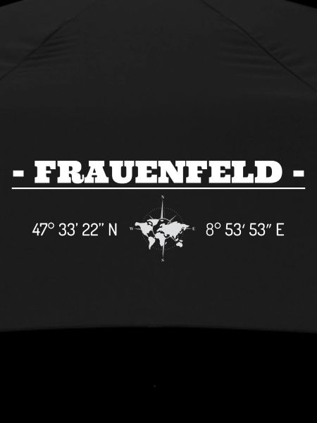 Coordinates Frauenfeld