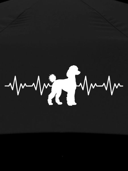 Poodle ECG Heartbeat