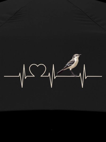 Oiseaux moqueurs Oiseaux moqueurs
