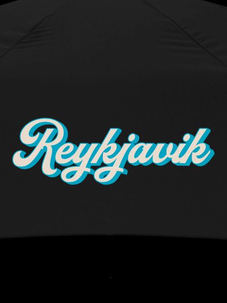 Reykjavik Neon Script