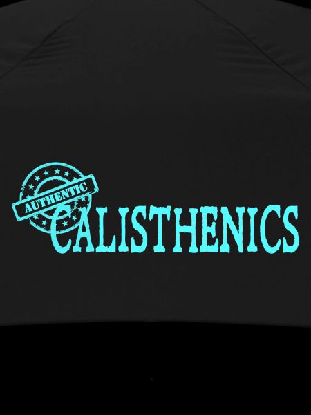 Calisthenics