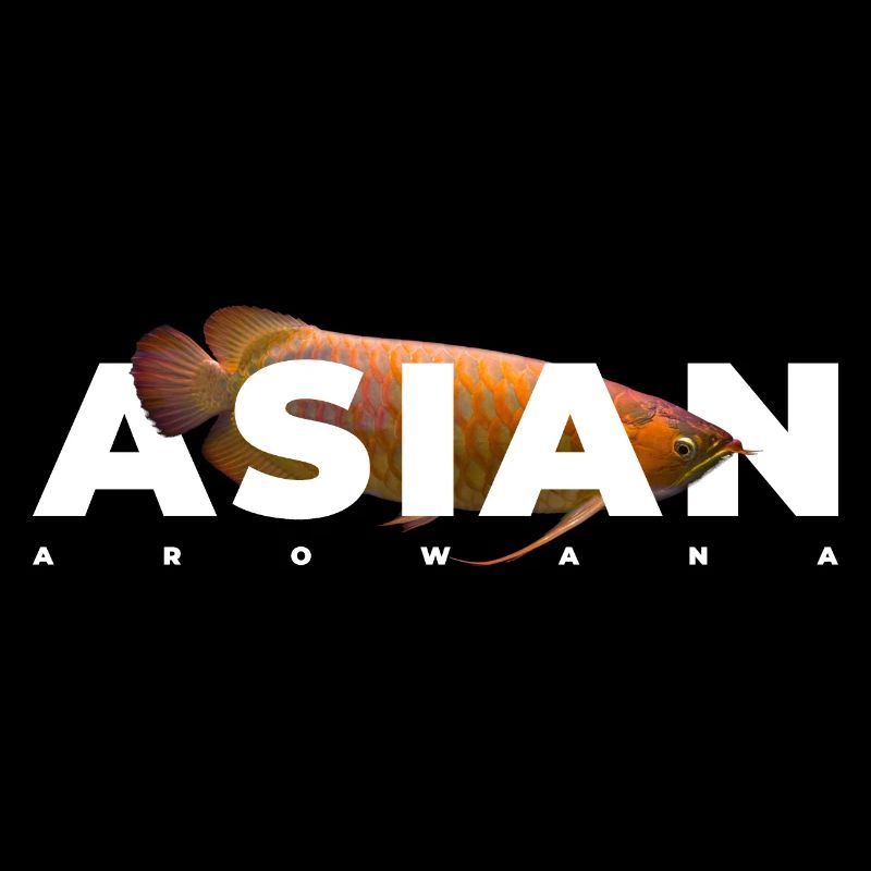 Asiatique Arowana Texte Moderne Poissonnier