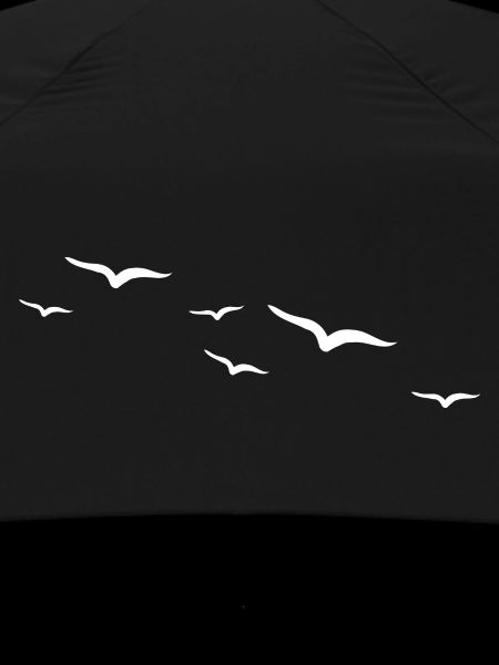 Birds | Bird