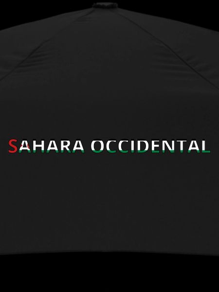 Flag of Western Sahara