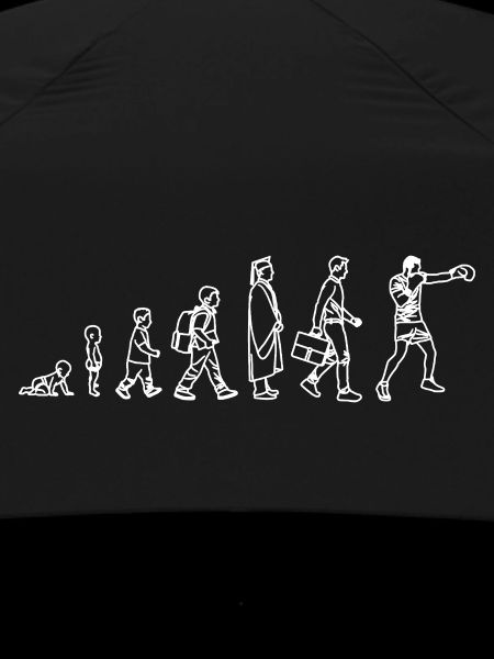 Evolution of the Boxer