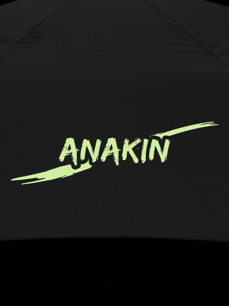 Anakin