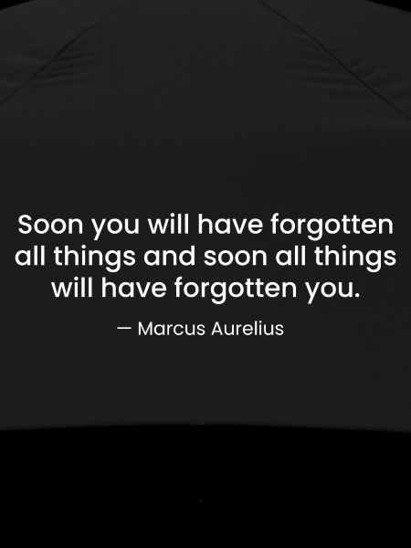 Marcus Aurelius Stoic Quote design