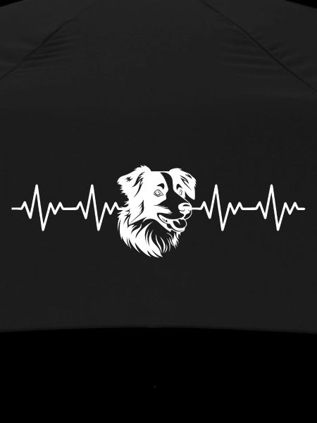 Border Collie ECG Heartbeat