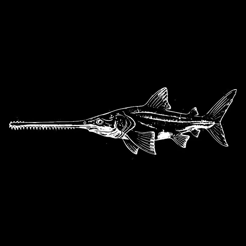 Swordfish Silhouette Night Swim