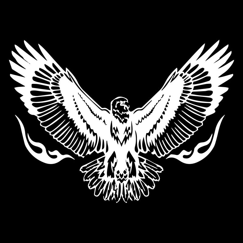 Eagle Wings