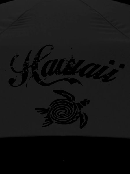 Hawaii turtle
