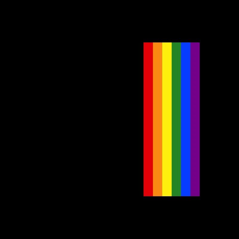 Rainbow Pride LGBT Stripe