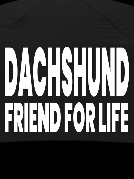 Dachshund