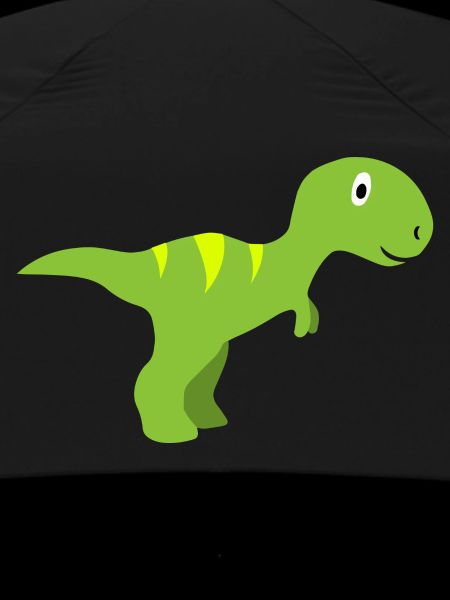 Dinosaur Accessories