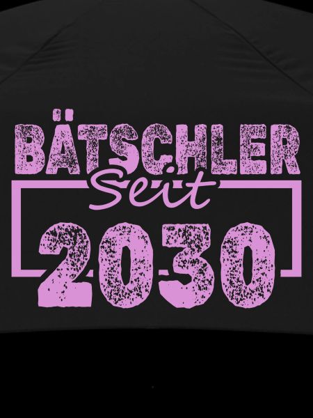 Bachelor 2030