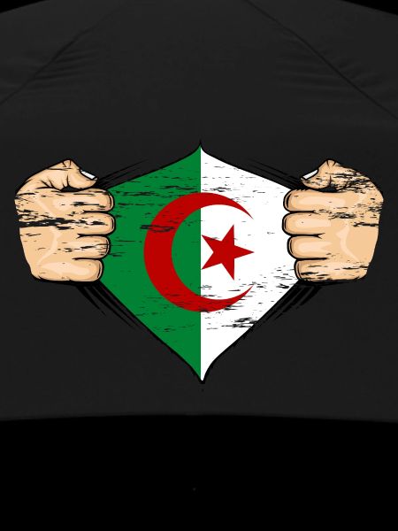 Drapeau de l’Algérie utilisé