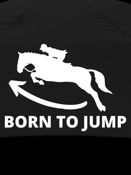 Étalon de saut dynamique