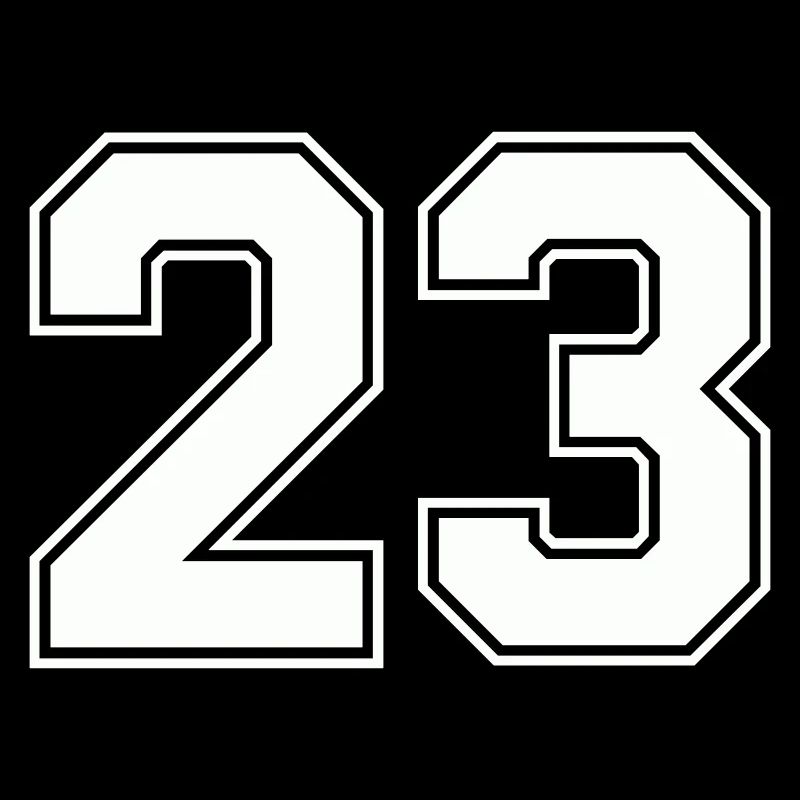 Geometric Number Design 23