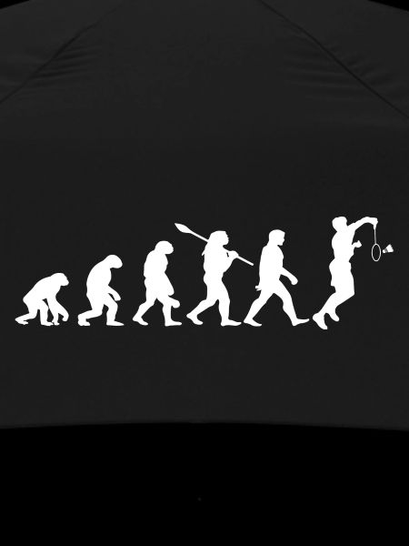 Badminton Evolution Badminton Player