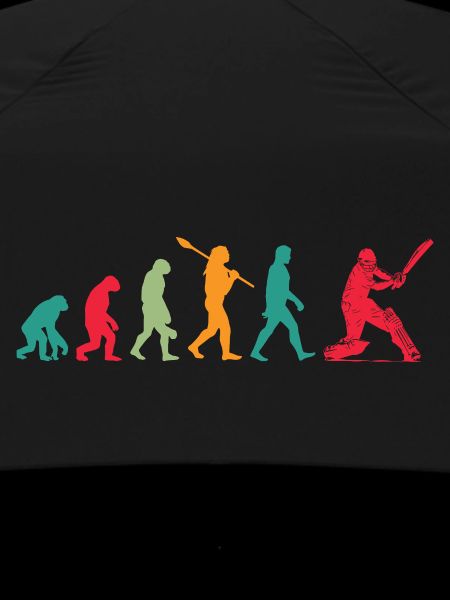 Évolution du cricket
