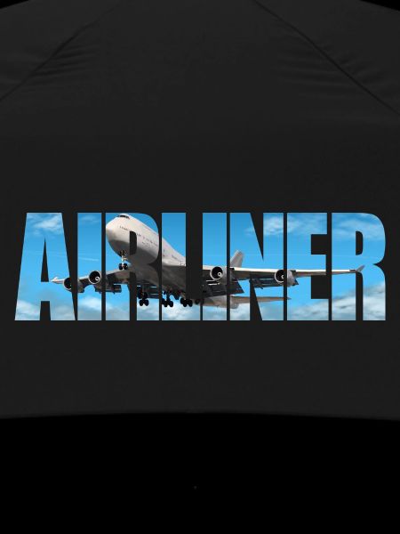 Airliner Jumbo Jet