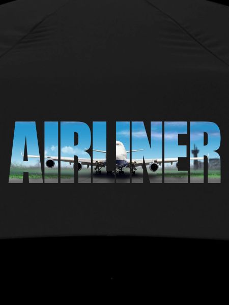 Airliner Jumbo Jet