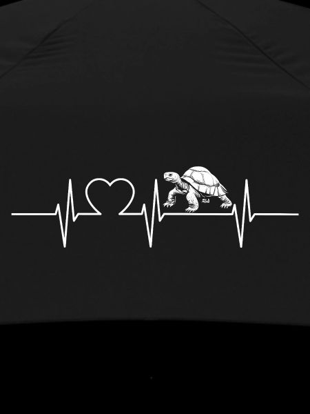 Tortoises Tortoise