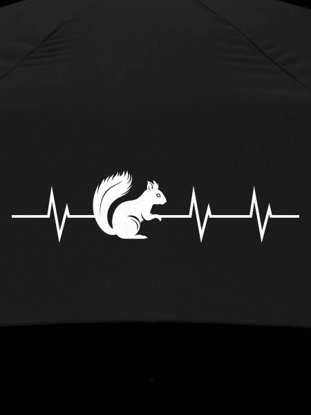 Heartbeat of a Squirrel