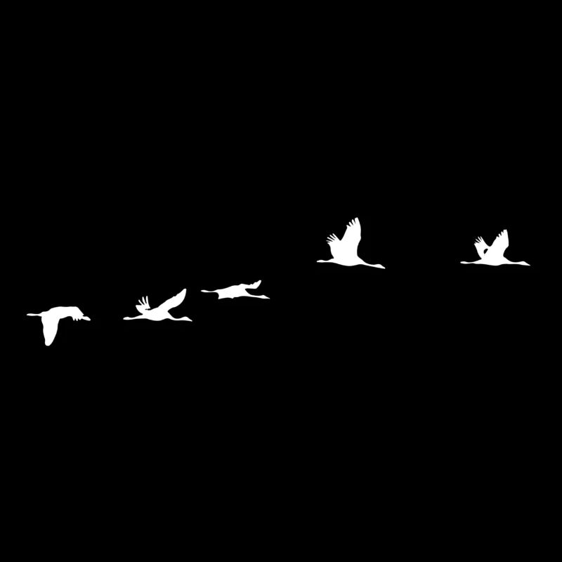 Oiseaux migrateurs blanc grue