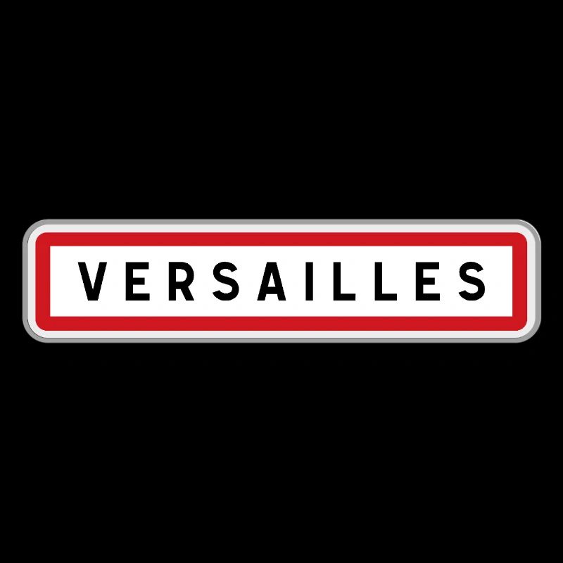 Panneau central de Versailles, Yvelines
