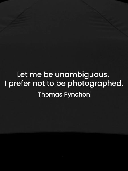 Citation de Thomas Pynchon