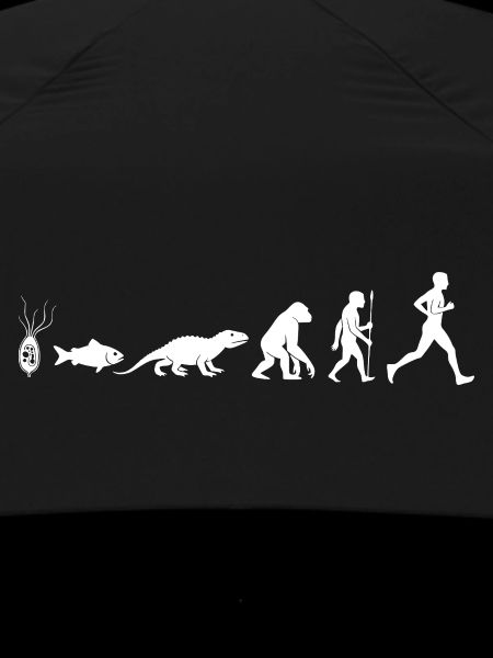 Evolution Run Fitness Silhouette