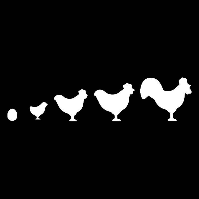 Evolution Bauer Huhn Hahn lustig