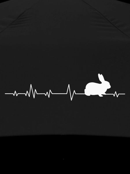 Rabbit Rabbit