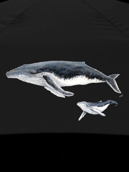 Buckelwal mit Baby Megaptera Wal